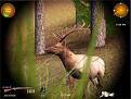 Download 'Hunting Unlimited (176x220)' to your phone